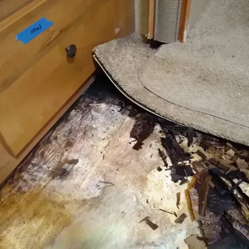 Wood Floor Water Damage in Heber, CA